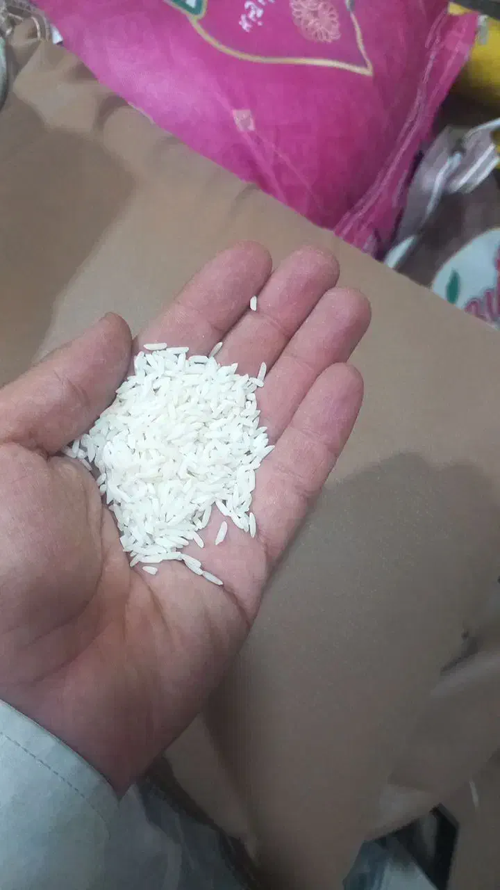 برنج هاشمی برقی مستقیم از شالیکوبی جعفر آباد رشت|خوردنی و آشامیدنی|تبریز, |دیوار