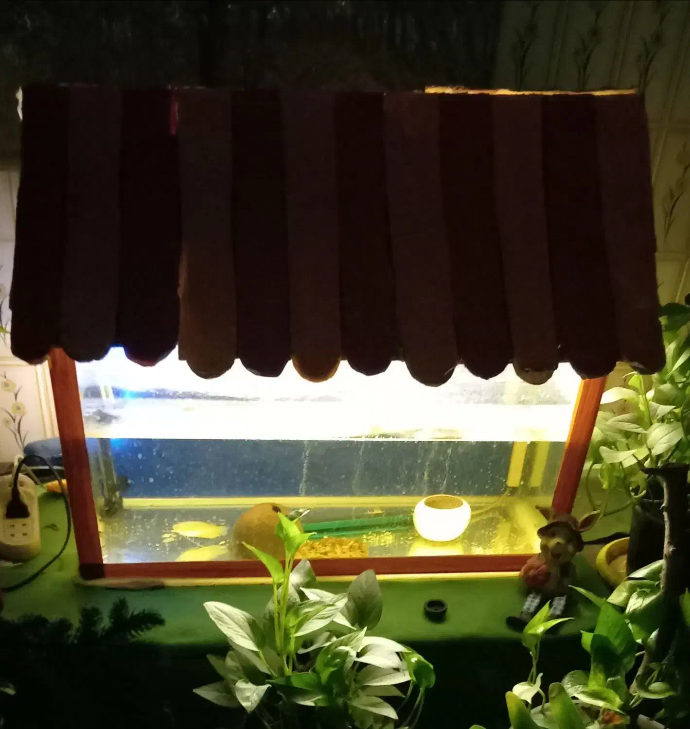 اکواریوم زیبا و سالم با وسایل|ماهی|نیشابور, مدرس|دیوار