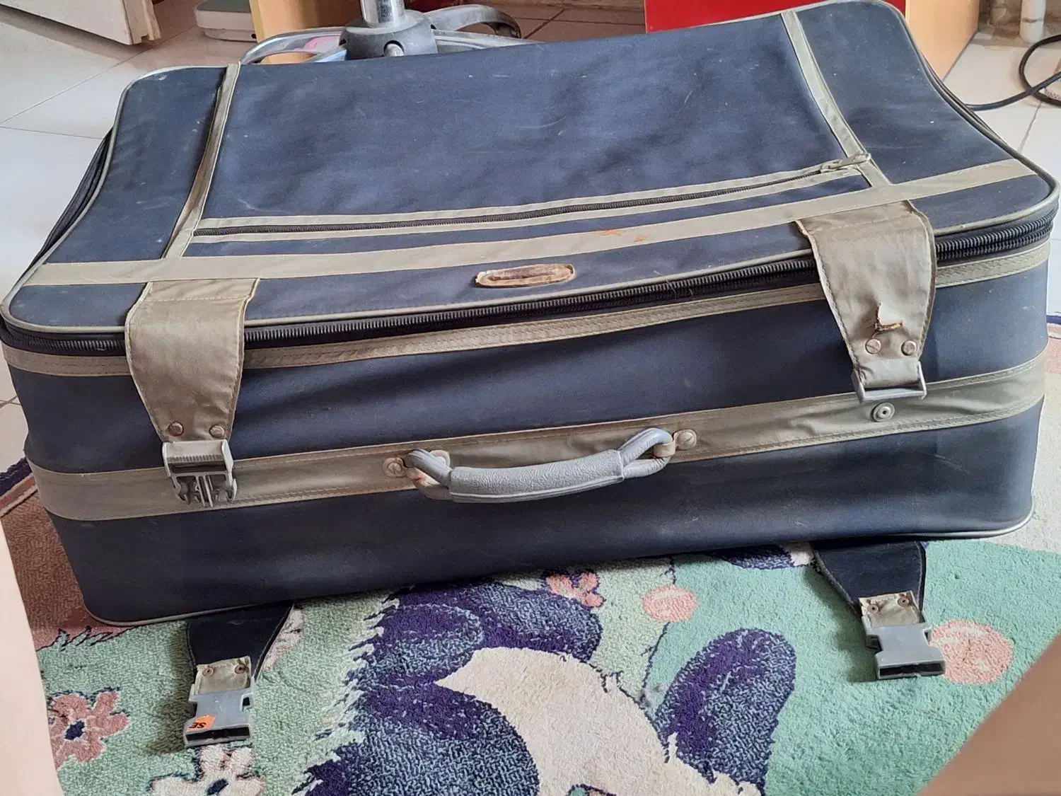 چمدان مسافرتی|کیف، کفش، کمربند|رشت, کاکتوس|دیوار