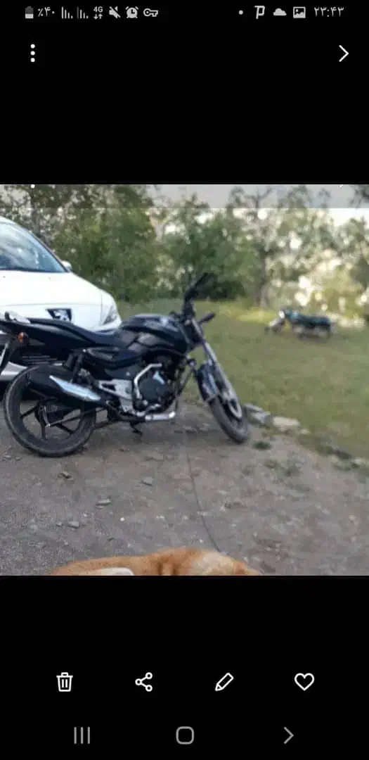 پالس باجاج مدل۸۸|موتورسیکلت|همدان, |دیوار