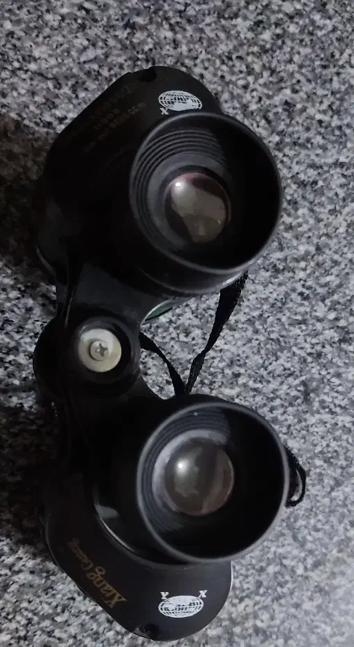 دوربین شکاری|کوهنوردی و کمپینگ|مرودشت, ژیان|دیوار