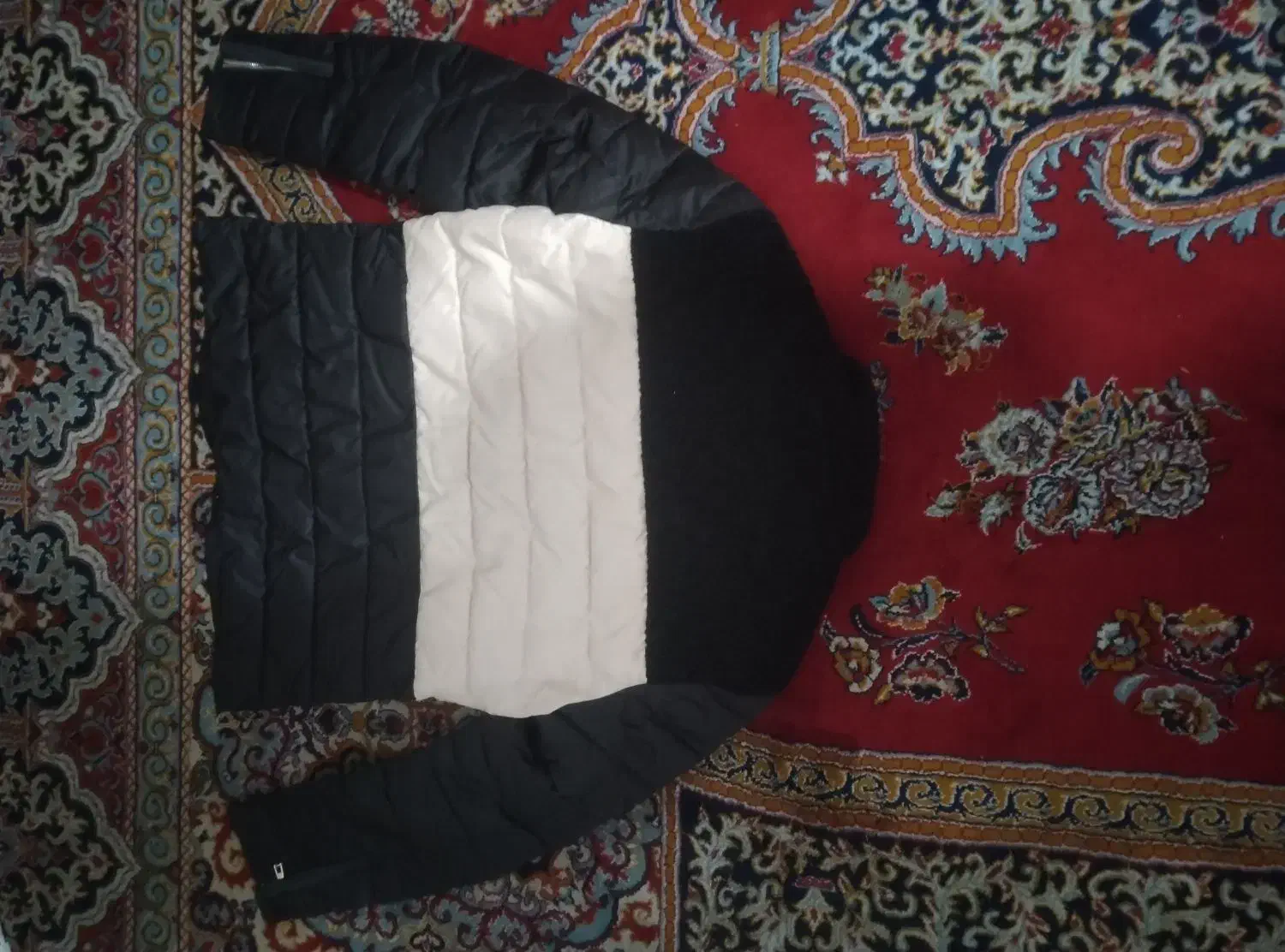 کاپشن سبز و سیاوش و کرمی|لباس|شیراز, گلشن|دیوار