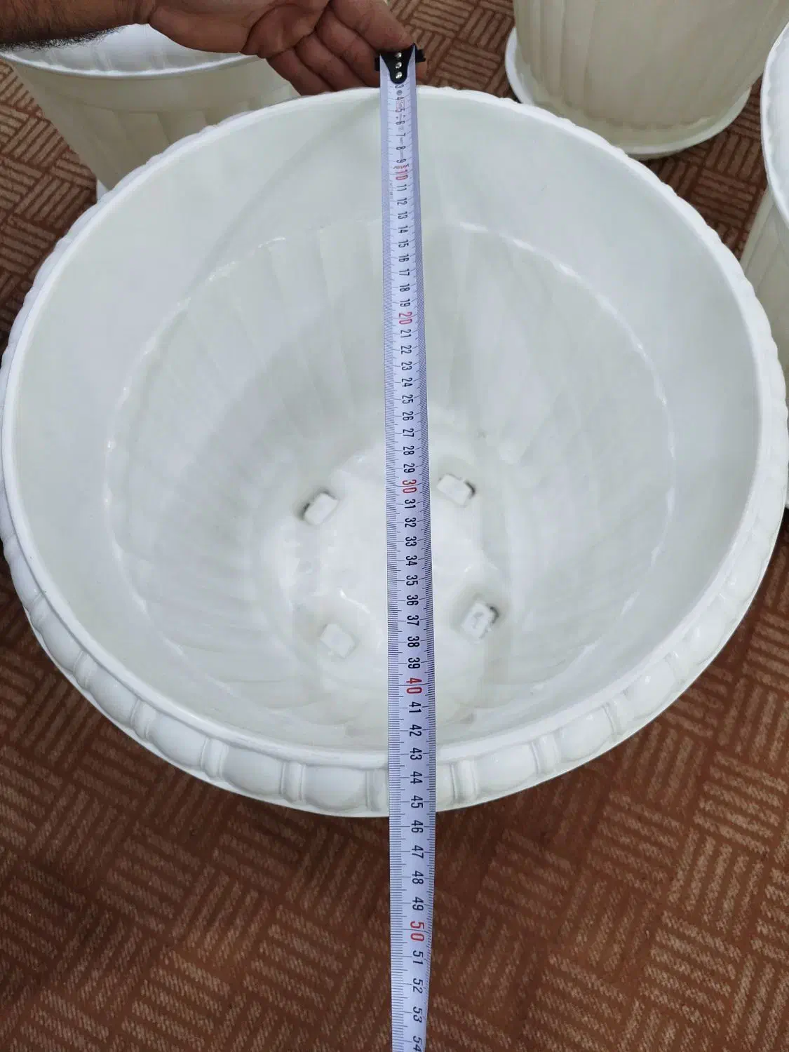 گلدان|گل و گیاه طبیعی|باغستان, |دیوار