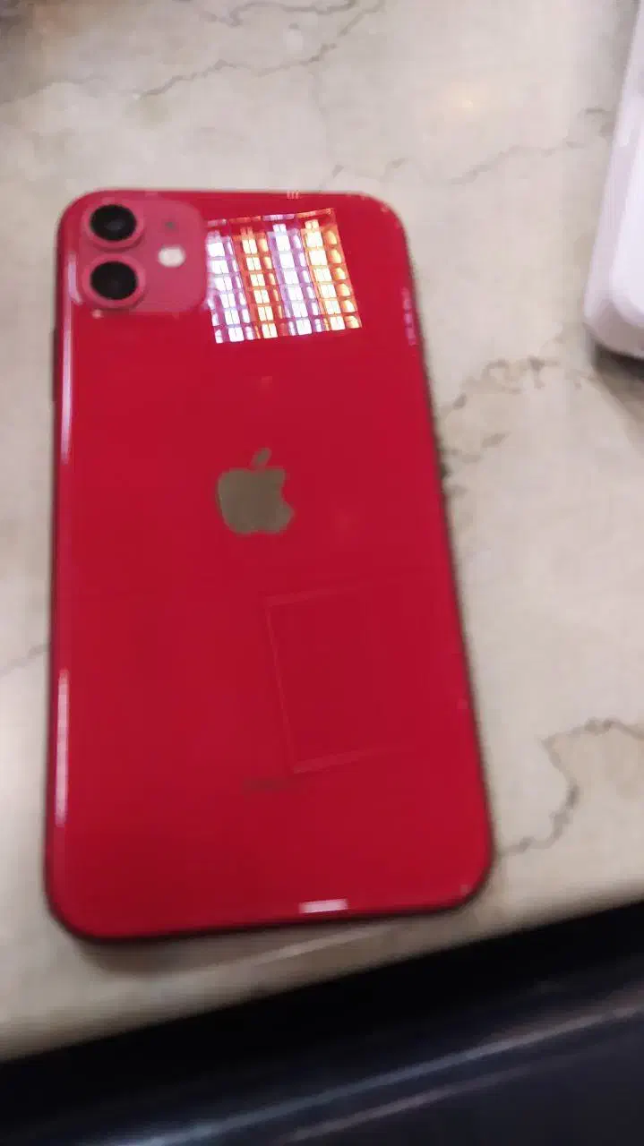 ایفون ۱۱ نرمال|موبایل|مشهد, فارغ التحصیلان|دیوار