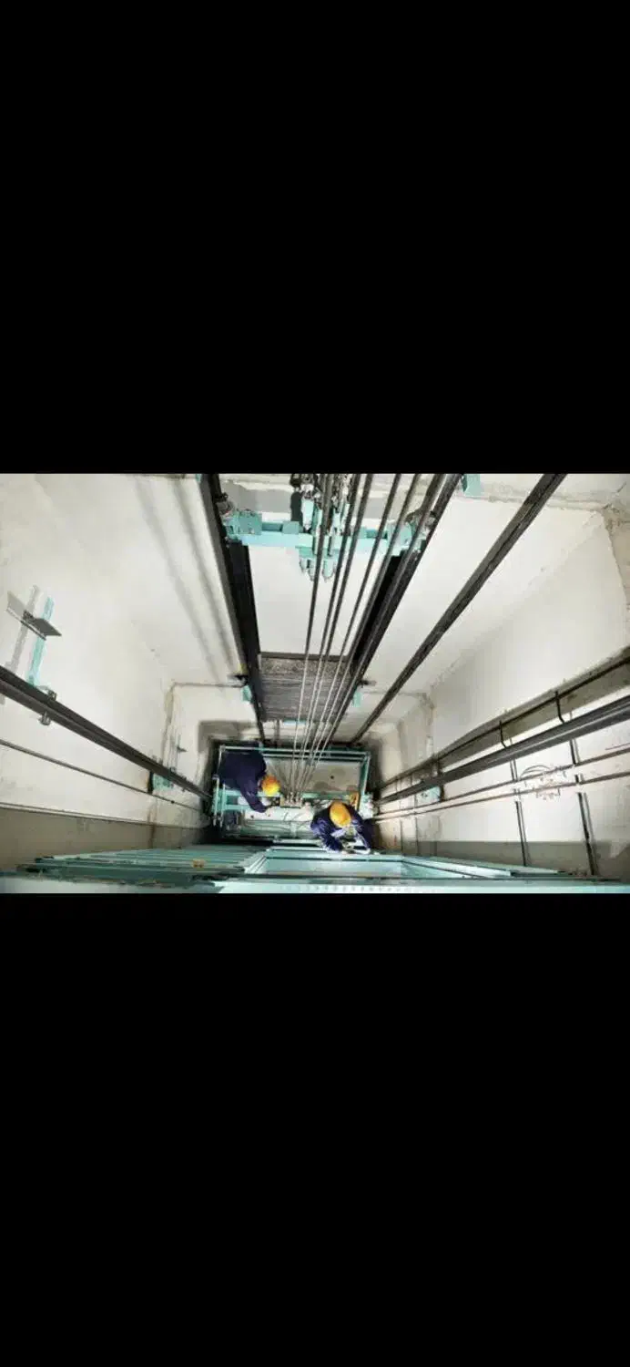 خدمات آسانسور و پله برقی استاندارد|خدمات پیشه و مهارت|فردیس, داوری|دیوار