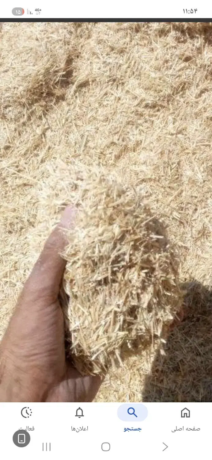 کاه گندم شلیف گرفته|حیوانات مزرعه|فلارد, |دیوار