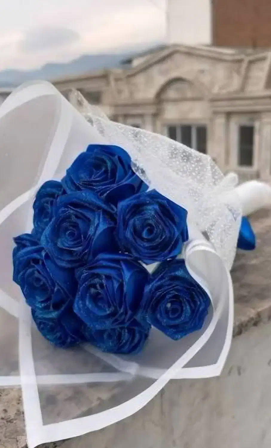 گل روبانی|گل مصنوعی|اسلام‌‌آباد غرب, |دیوار