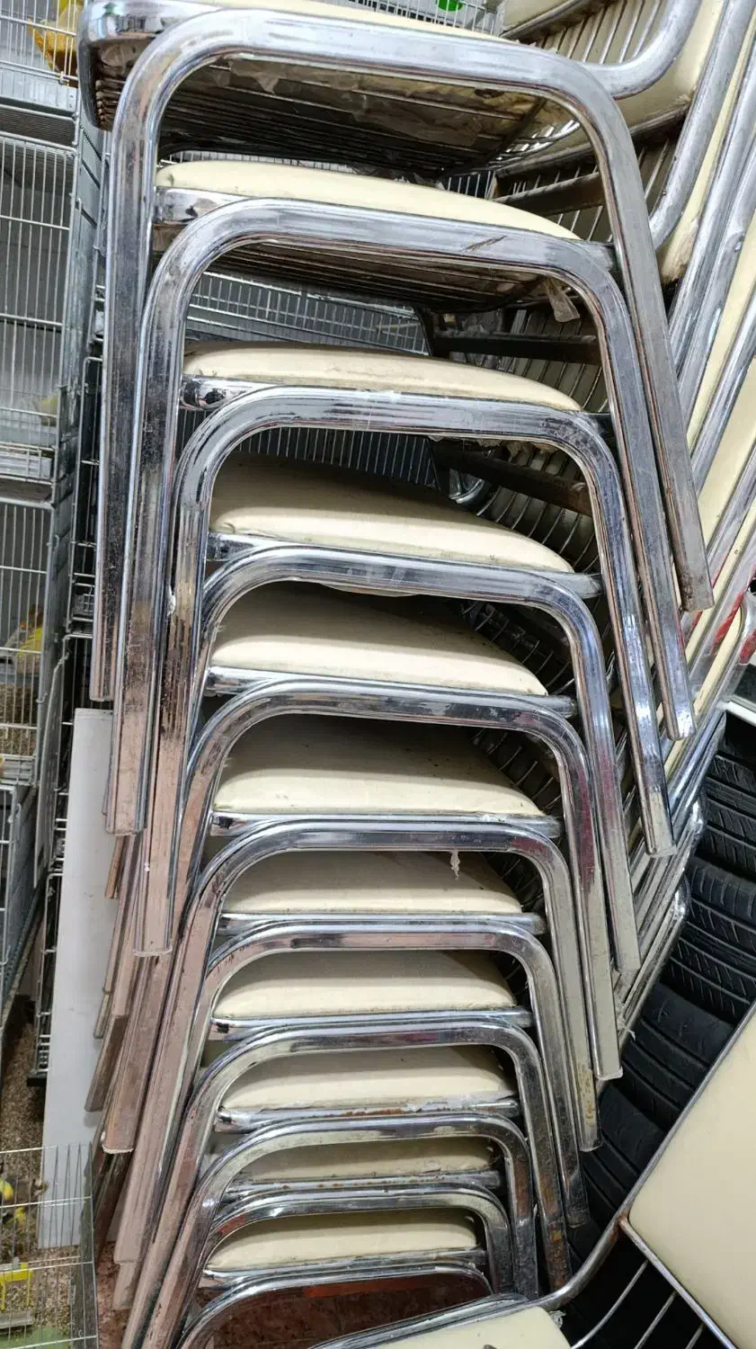 صندلی|میز و صندلی غذاخوری|قروه, |دیوار