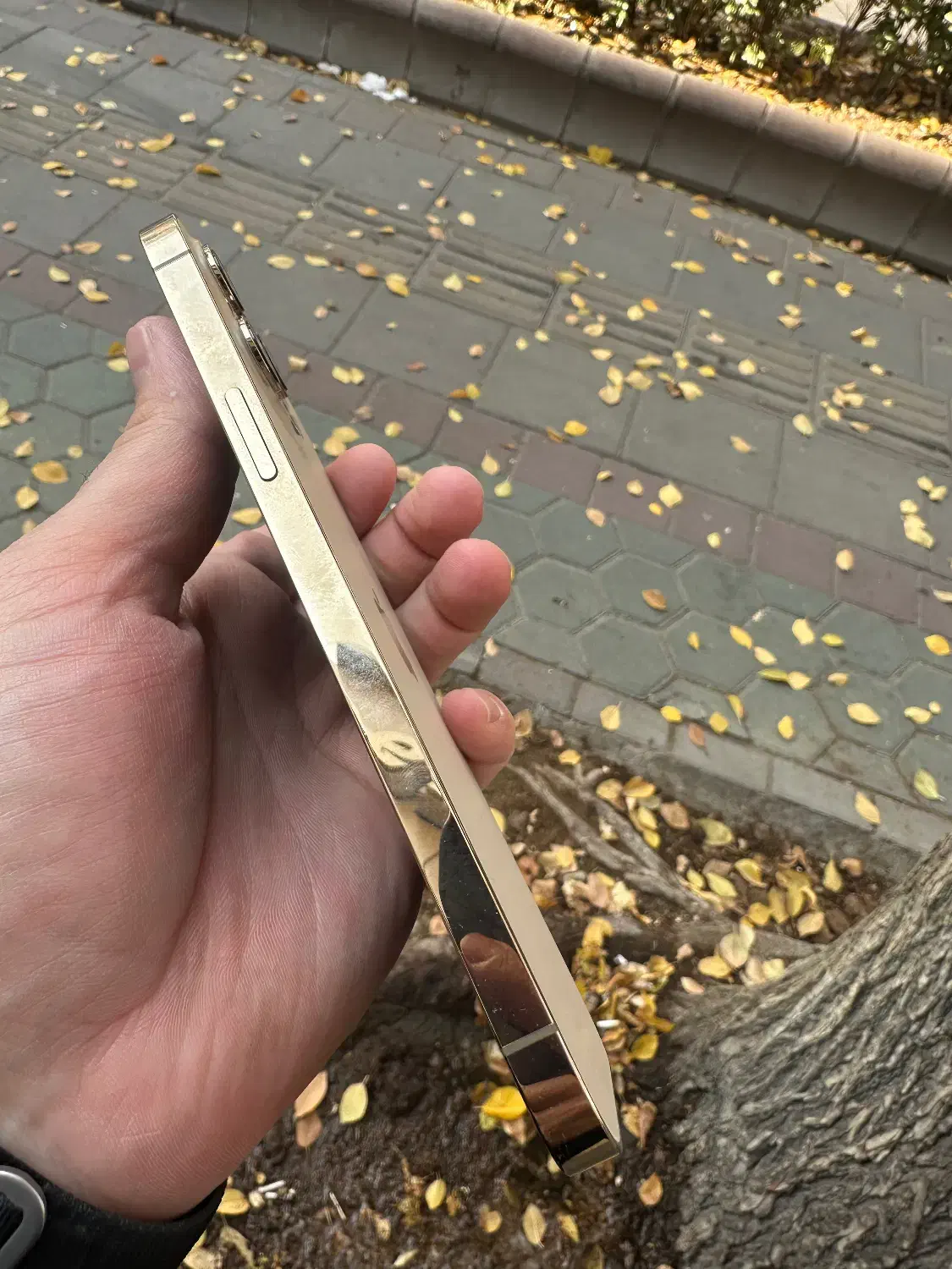 آیفون ۱۲ پرومکس ۲۵۶گیگ|موبایل|تبریز, |دیوار