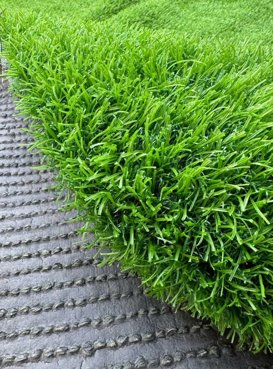 چمن|خدمات باغبانی و درختکاری|گلپایگان, |دیوار