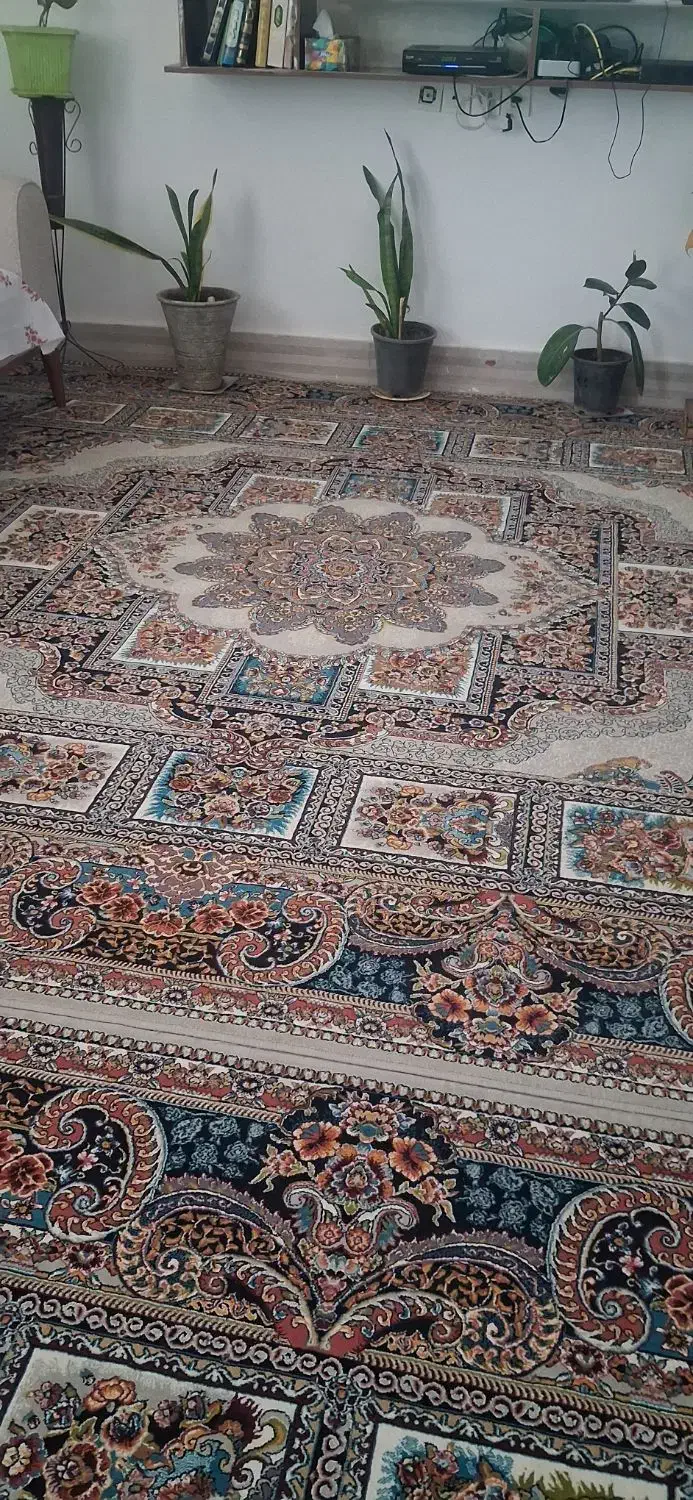 فرش|فرش|گالیکش, |دیوار