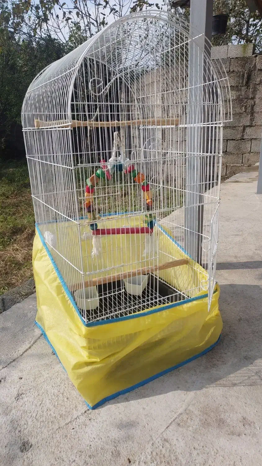 قفس پرنده|لوازم جانبی حیوانات|رشت, کوی فکوری|دیوار