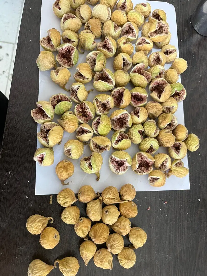 انجیر|خوردنی و آشامیدنی|نی‌ریز, |دیوار