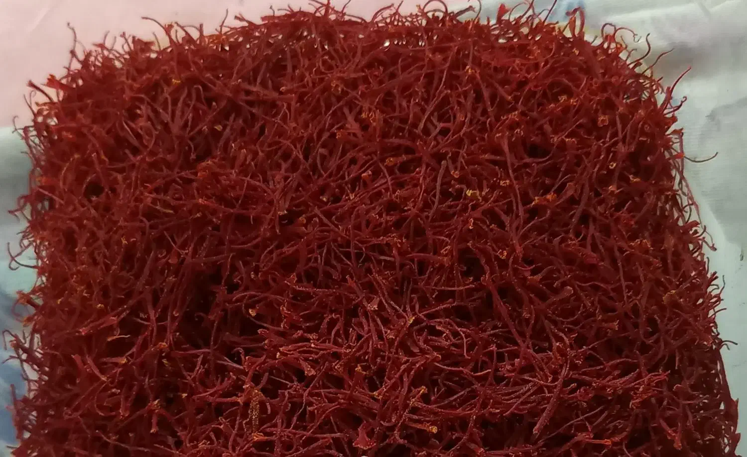 نگین زعفران|خوردنی و آشامیدنی|چناران, |دیوار
