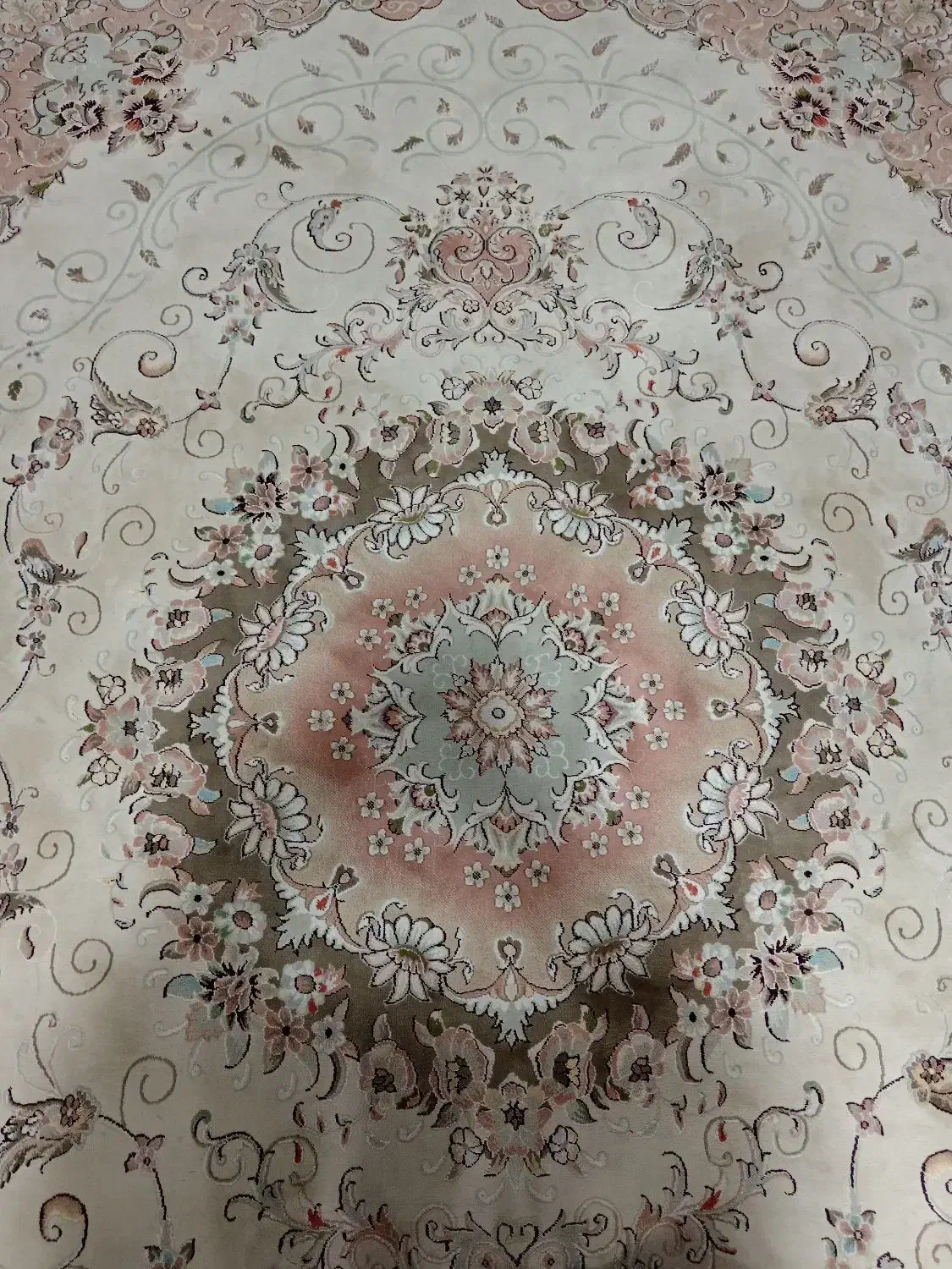 قالی 12متری گل برجسته درحدنو|فرش|تربت جام, شاهد|دیوار