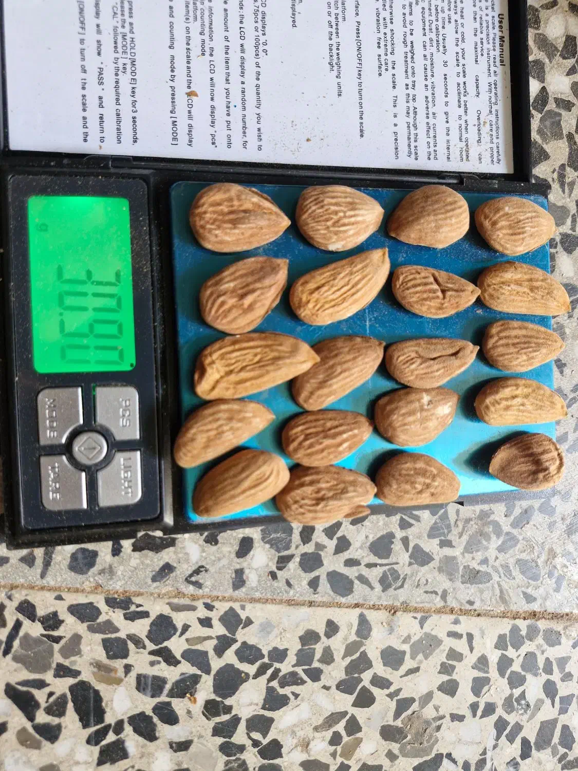 بادام|خوردنی و آشامیدنی|سامان, |دیوار