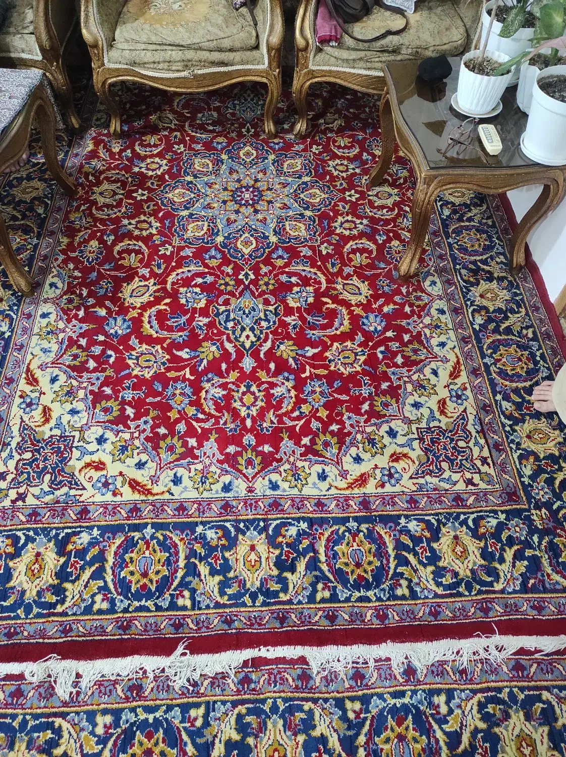 فرش 12 متری|فرش|قائم‌شهر, |دیوار