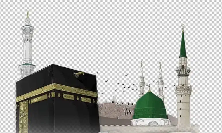 فروش فیش حج عمره|تور و چارتر|سیاهکل, |دیوار