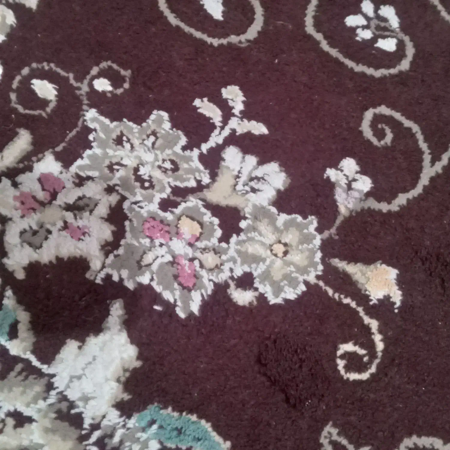 قالی|فرش|تربت جام, باغ سنگان سفلی|دیوار