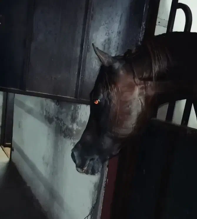 اسب یکسر|اسب و تجهیزات اسب‌سواری|شوش, |دیوار