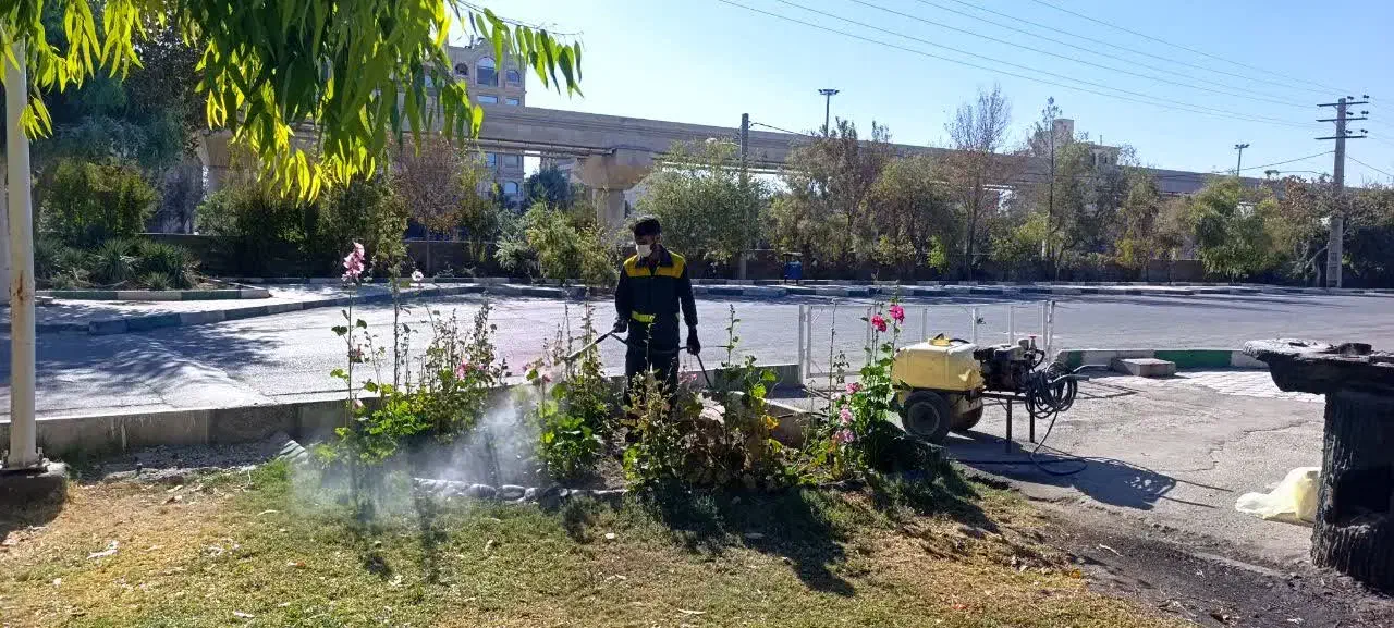 باغبانی|خدمات باغبانی و درختکاری|قم, وادی السلام|دیوار