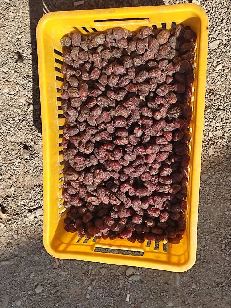 فروش|عمده‌فروشی|توکهور, |دیوار