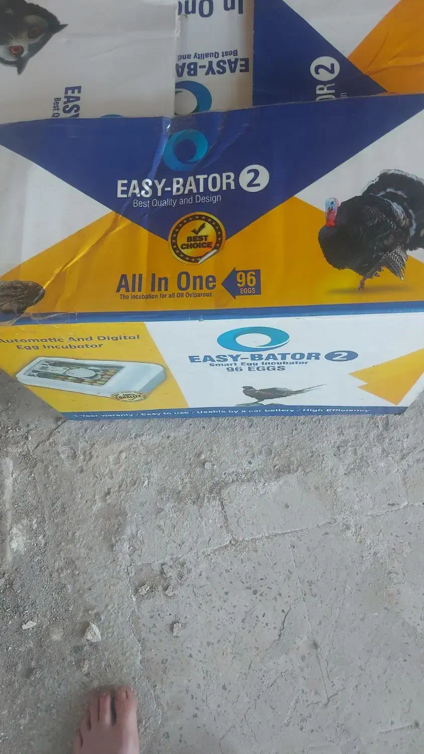 دستگاه جوجه کشی ایزی باتور ۲ با ظرفیت۹۶تایی|لوازم جانبی حیوانات|املش, |دیوار