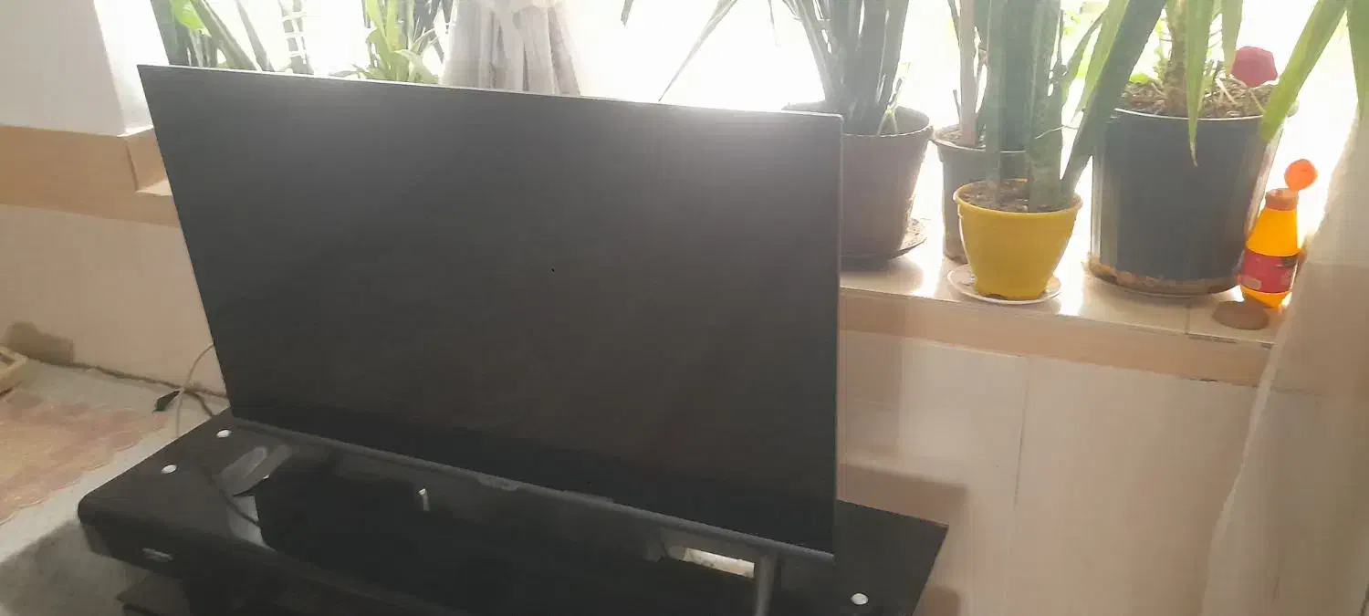 تلوزیون oleve|تلویزیون و پروژکتور|بیرجند, |دیوار