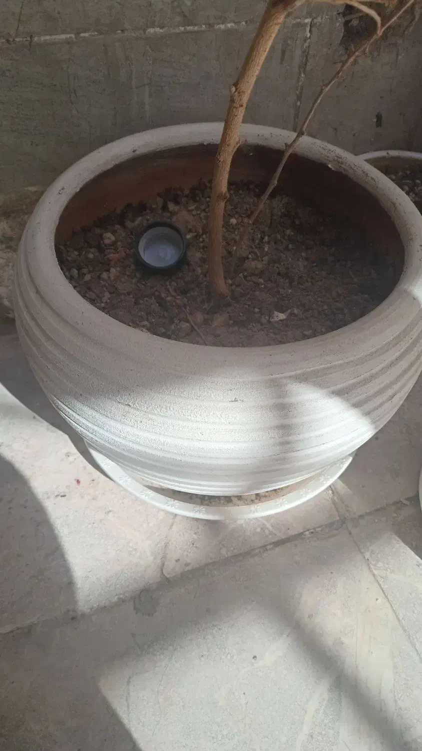 4عدد گلدان سرامیکی|گل و گیاه طبیعی|قم, ولیعصر|دیوار