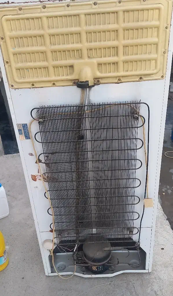 یخچال فیلکو|یخچال و فریزر|بیلوار, |دیوار