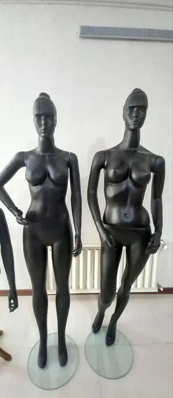 فروش مانکن|فروشگاه و مغازه|نیشابور, محله میدان باغات|دیوار