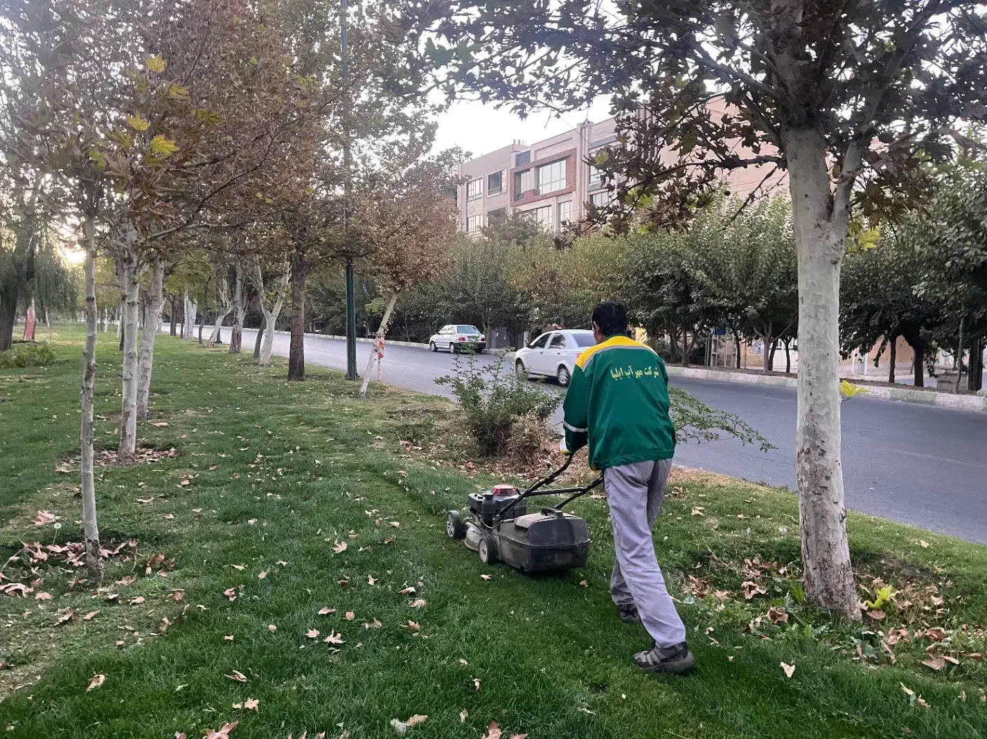 انجام کلیه امور باغبانی در کرج|خدمات باغبانی و درختکاری|کرج, فاز ۴ مهرشهر|دیوار