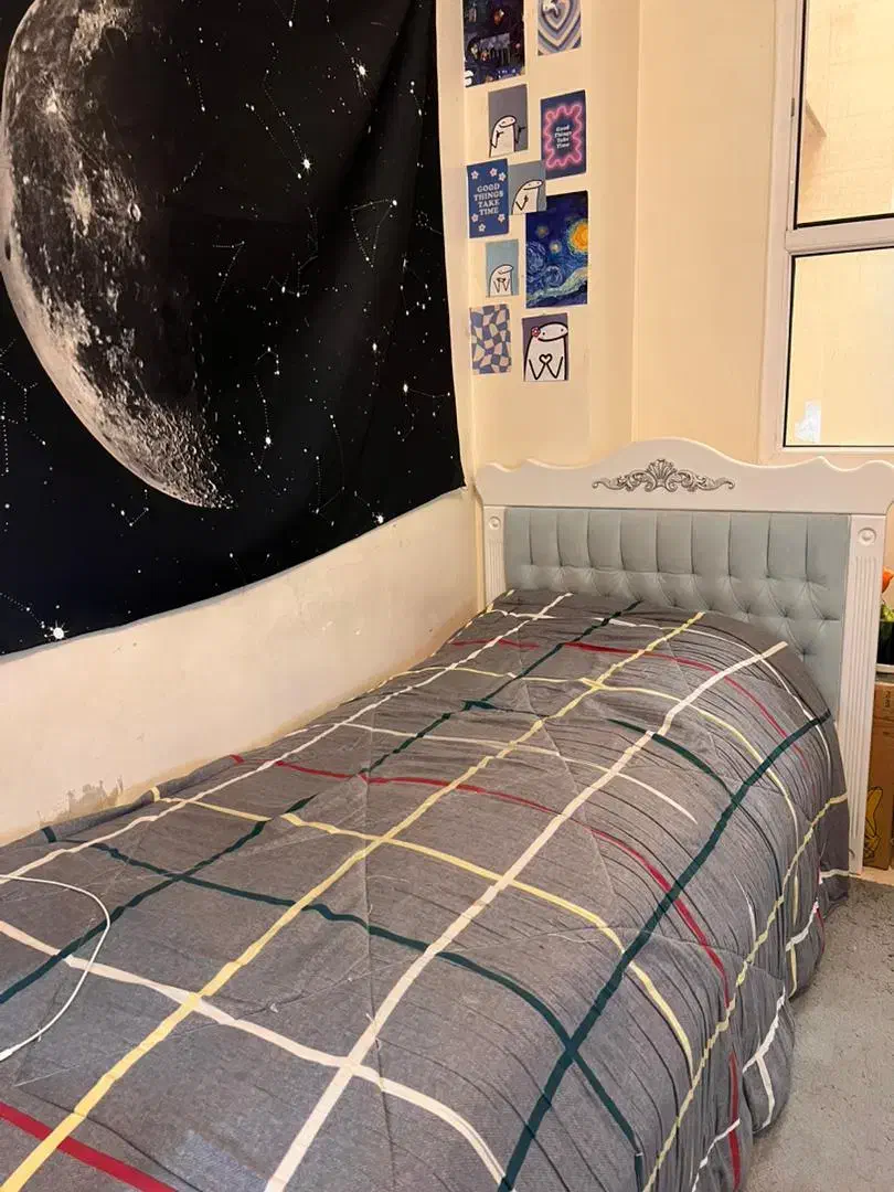 ست تخت خواب دخترانه نوجوان اپادانا|تخت و سرویس خواب|کرج, فاز ۳ گوهردشت|دیوار