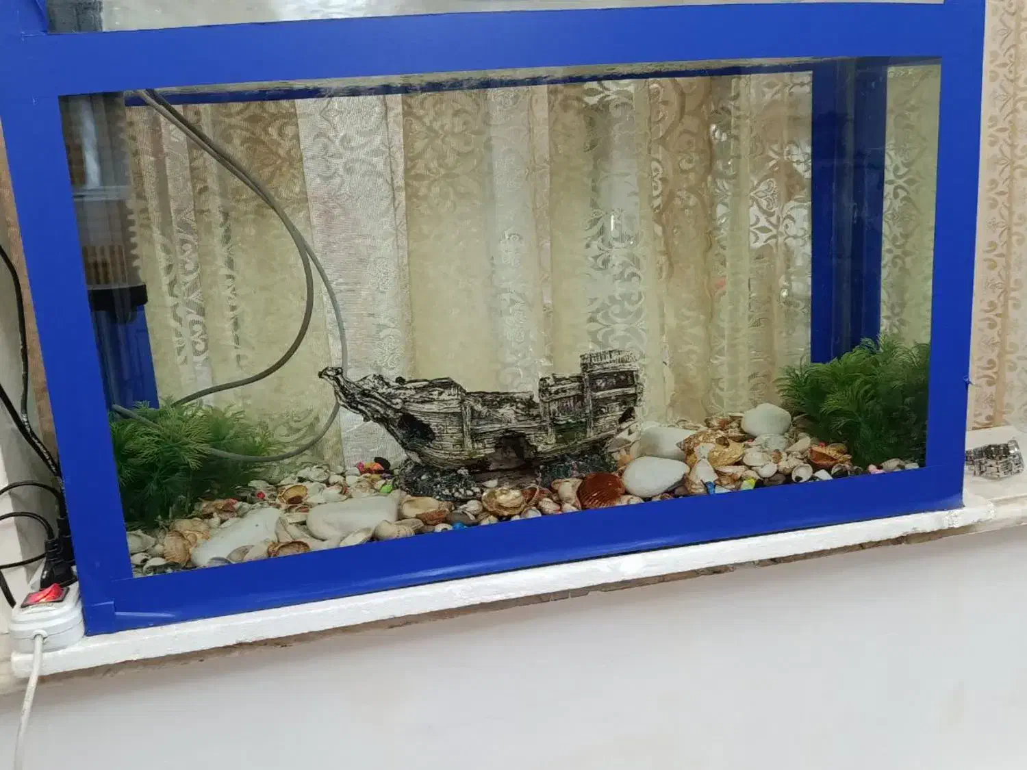 آکواریوم ماهی|ماهی|فردیس, داوری|دیوار