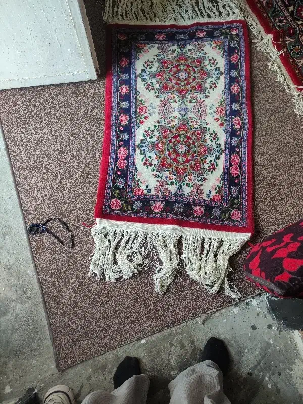 قالی کوچیک دستبافت با بند مرینوس ریز بافت|فرش|خورموج, |دیوار