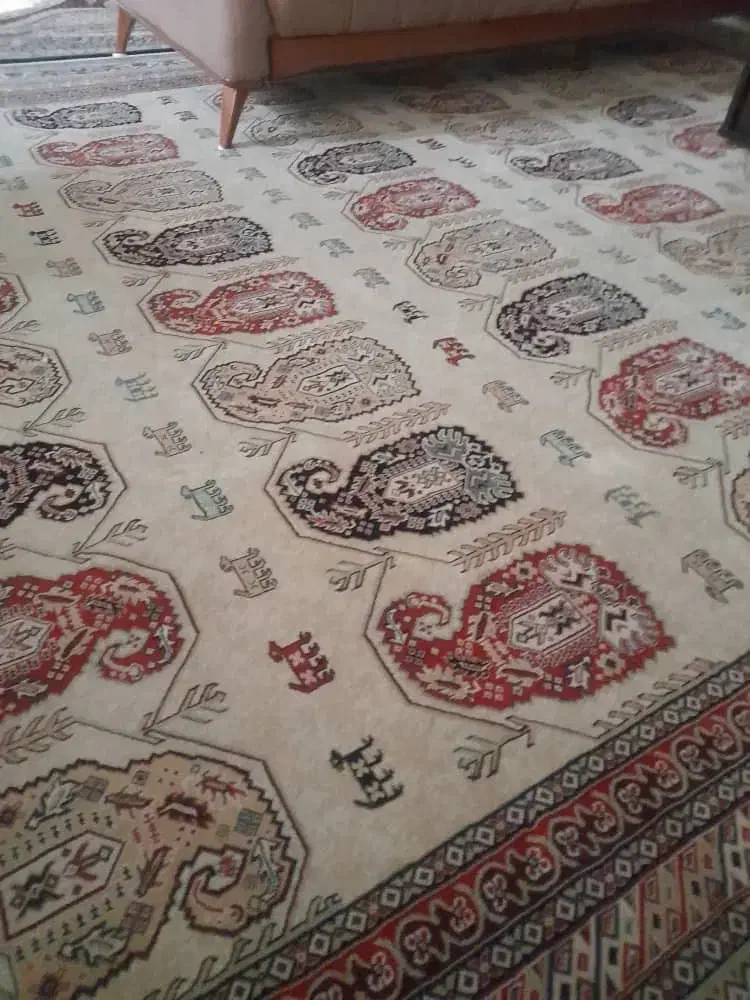 دو عدد فرش ۱۲ متری در حد نو|فرش|زاهدان, |دیوار