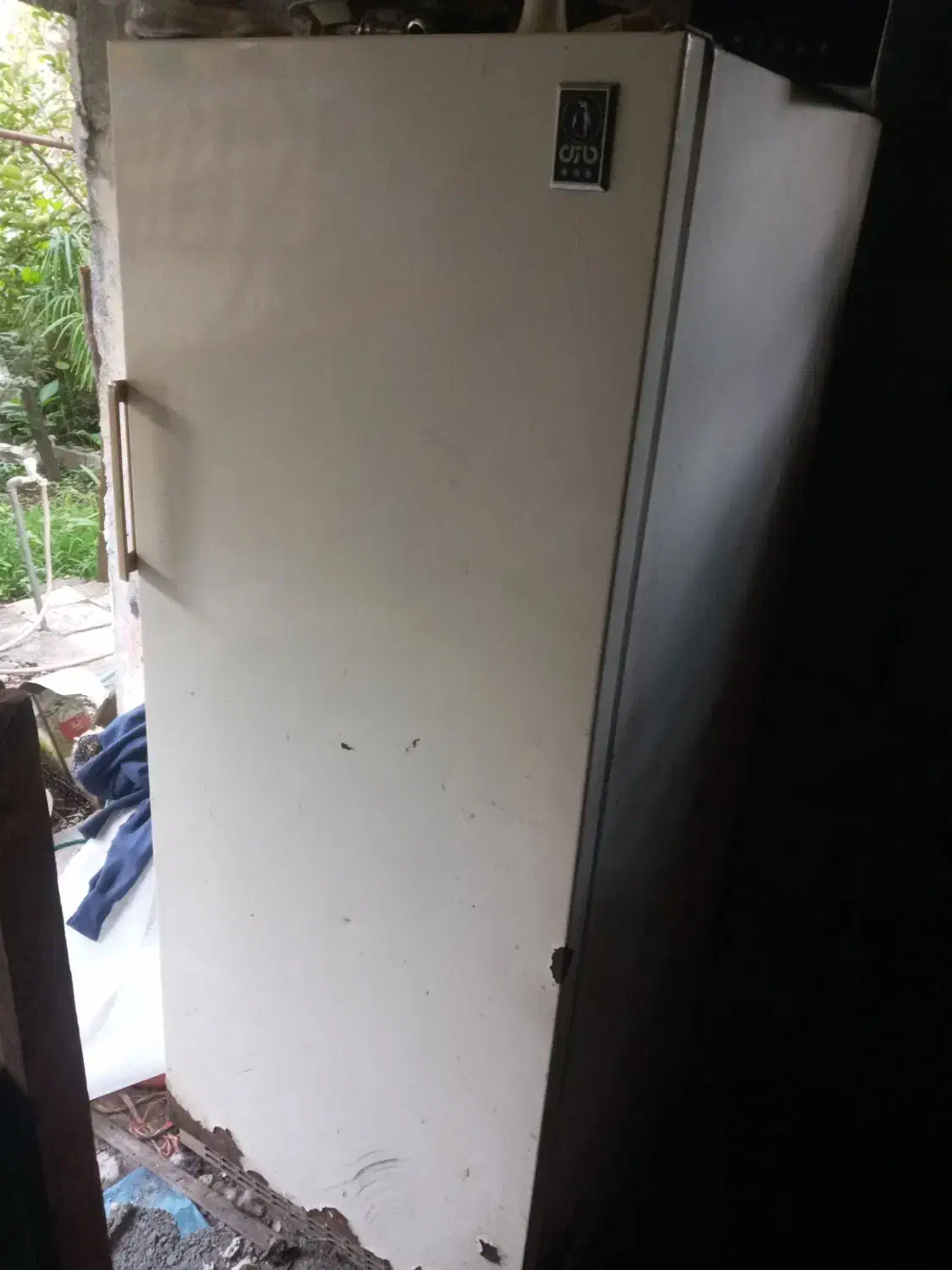 فروش فوری یخچال فریزر|یخچال و فریزر|تنکابن, |دیوار