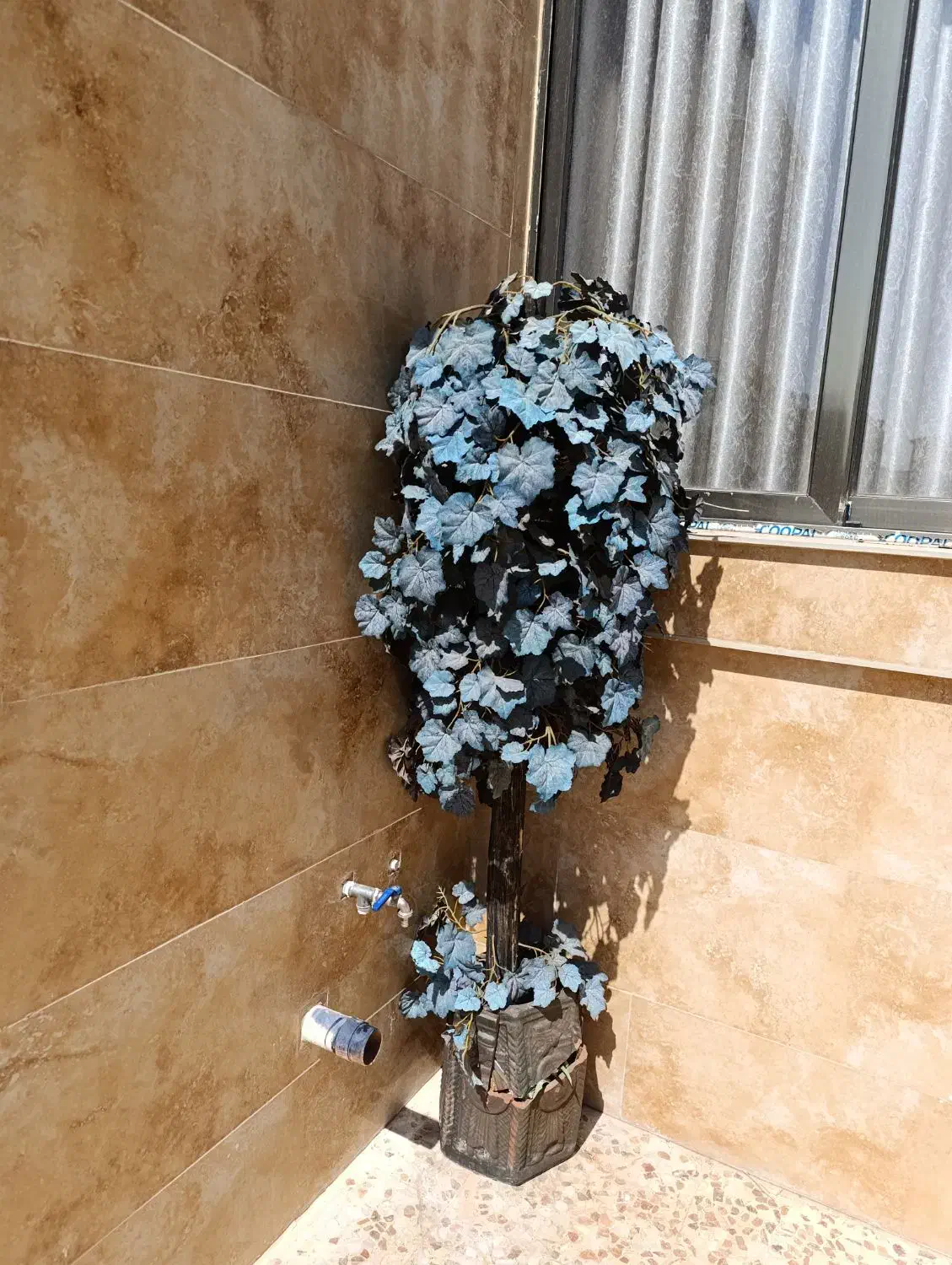 درخت بزرگ وزیبا|گل مصنوعی|شاهینشهر, حافظ شمالی|دیوار