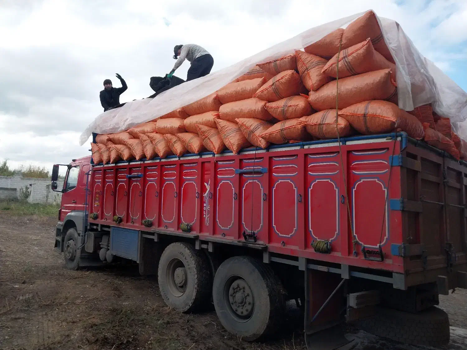 بادام زمینی|خوردنی و آشامیدنی|پارس‌آباد, |دیوار