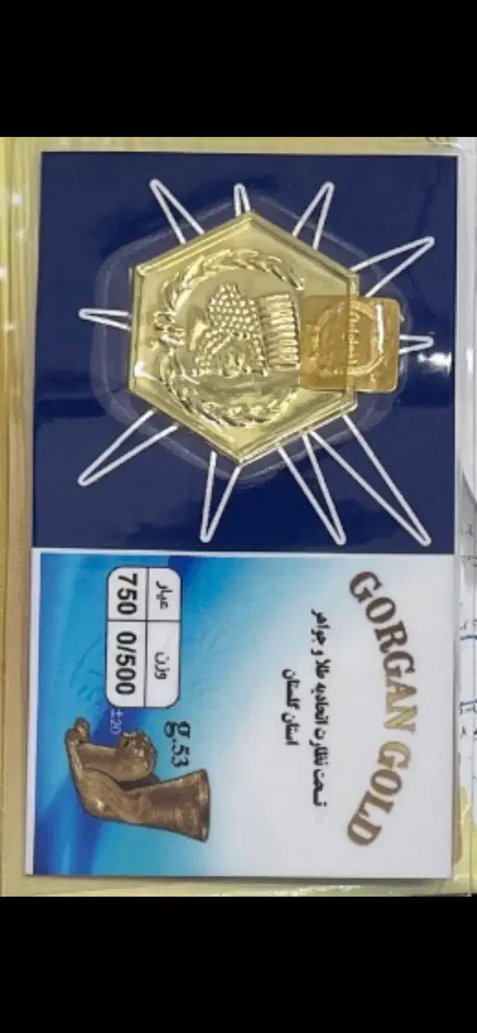 سکه پارسیان|جواهرات|گرگان, |دیوار