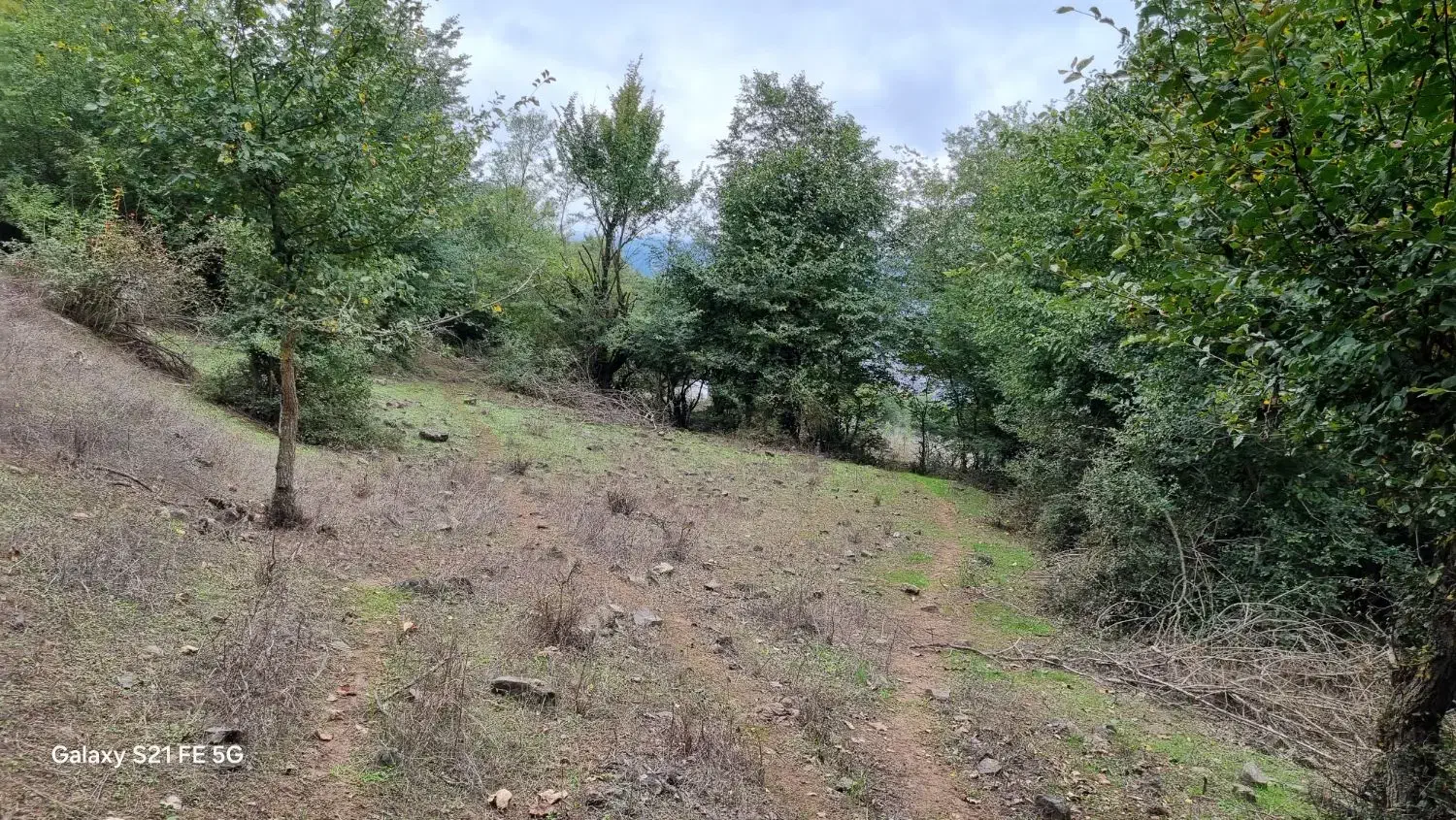 ۱۰۰۰متر زمین جیرمحله طالکوه جنگلی|فروش زمین و ملک کلنگی|برهسر, |دیوار