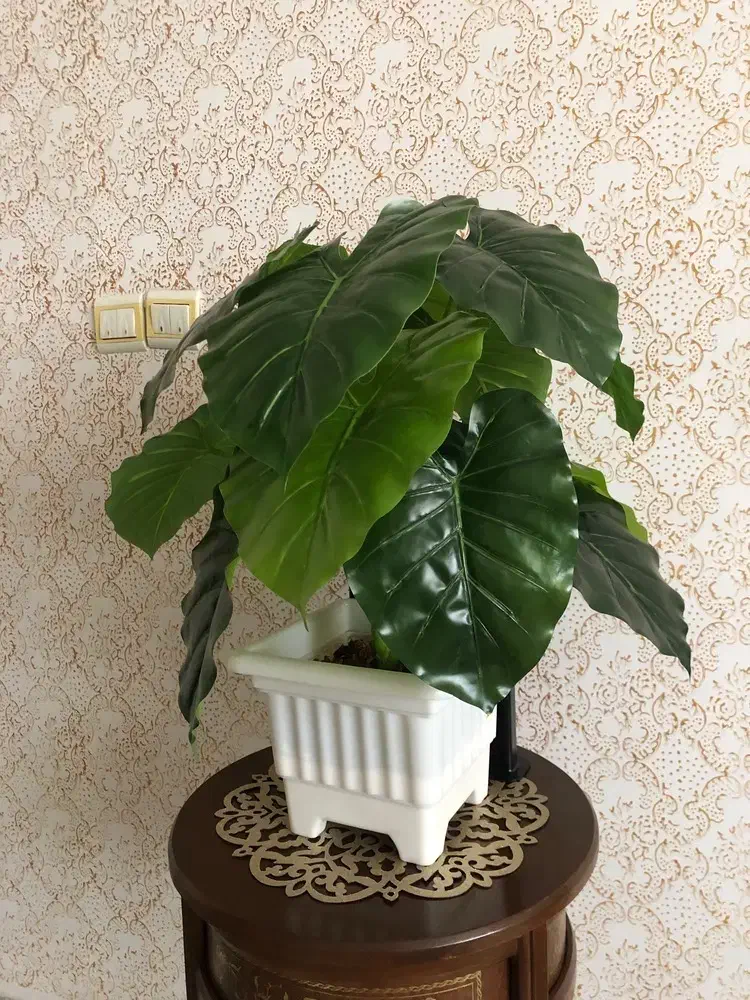 گل و گلدان|گل مصنوعی|همدان, |دیوار