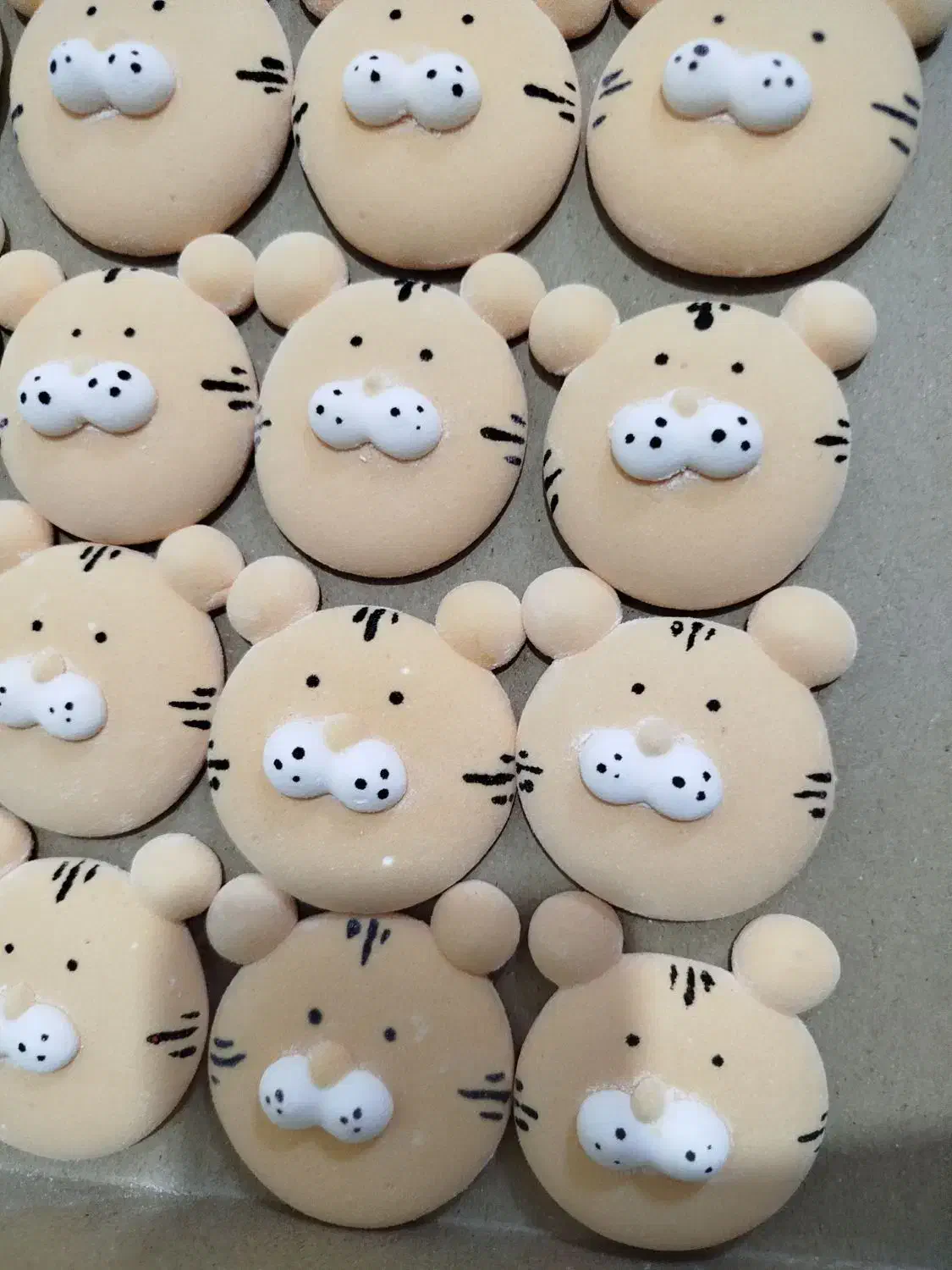 طرح ببر|حراج|گنبد کاووس, |دیوار