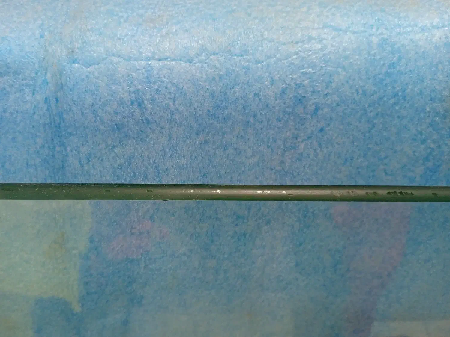 آکواریوم|ماهی|بیرجند, |دیوار