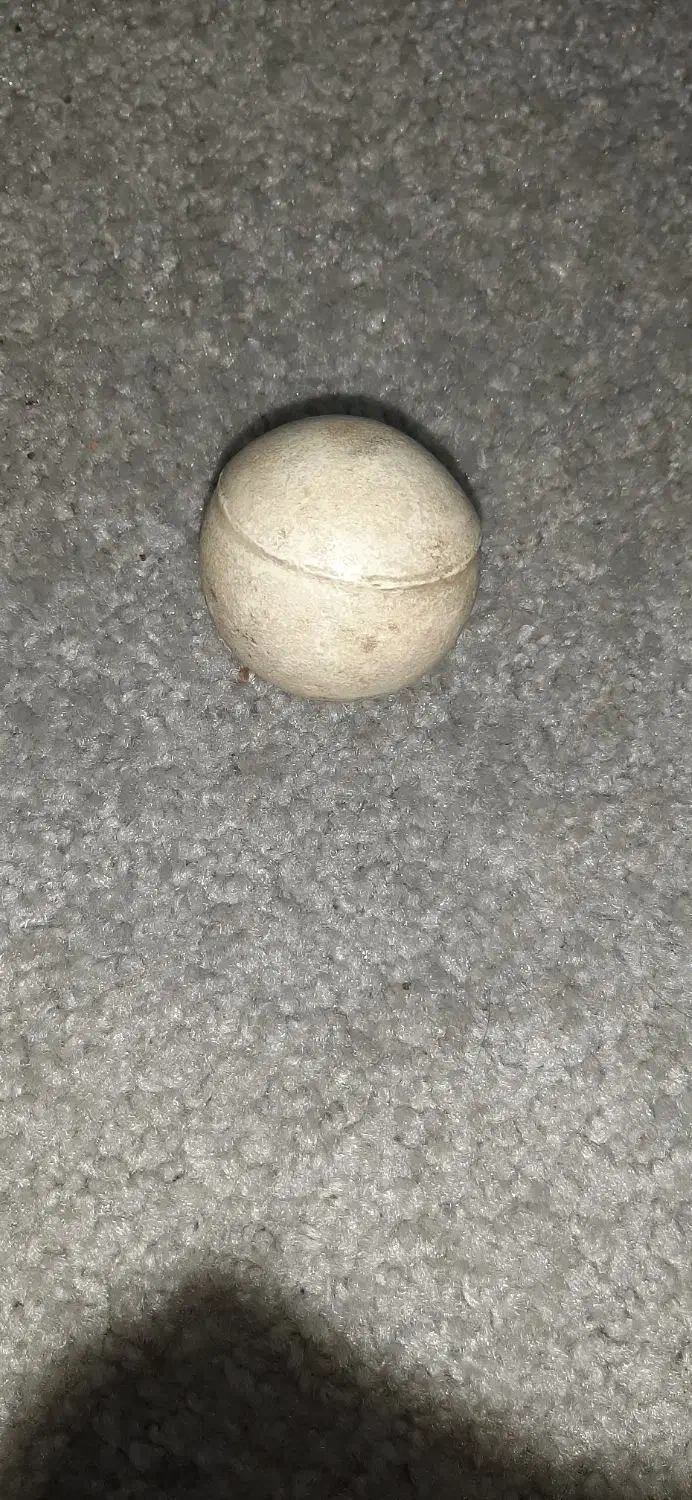 سنگ آسیاب|کلکسیون اشیاء عتیقه|بندرعباس, |دیوار