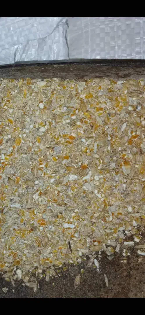 جو و ذرت مخلوط|عمده‌فروشی|مهران (ایلام), |دیوار