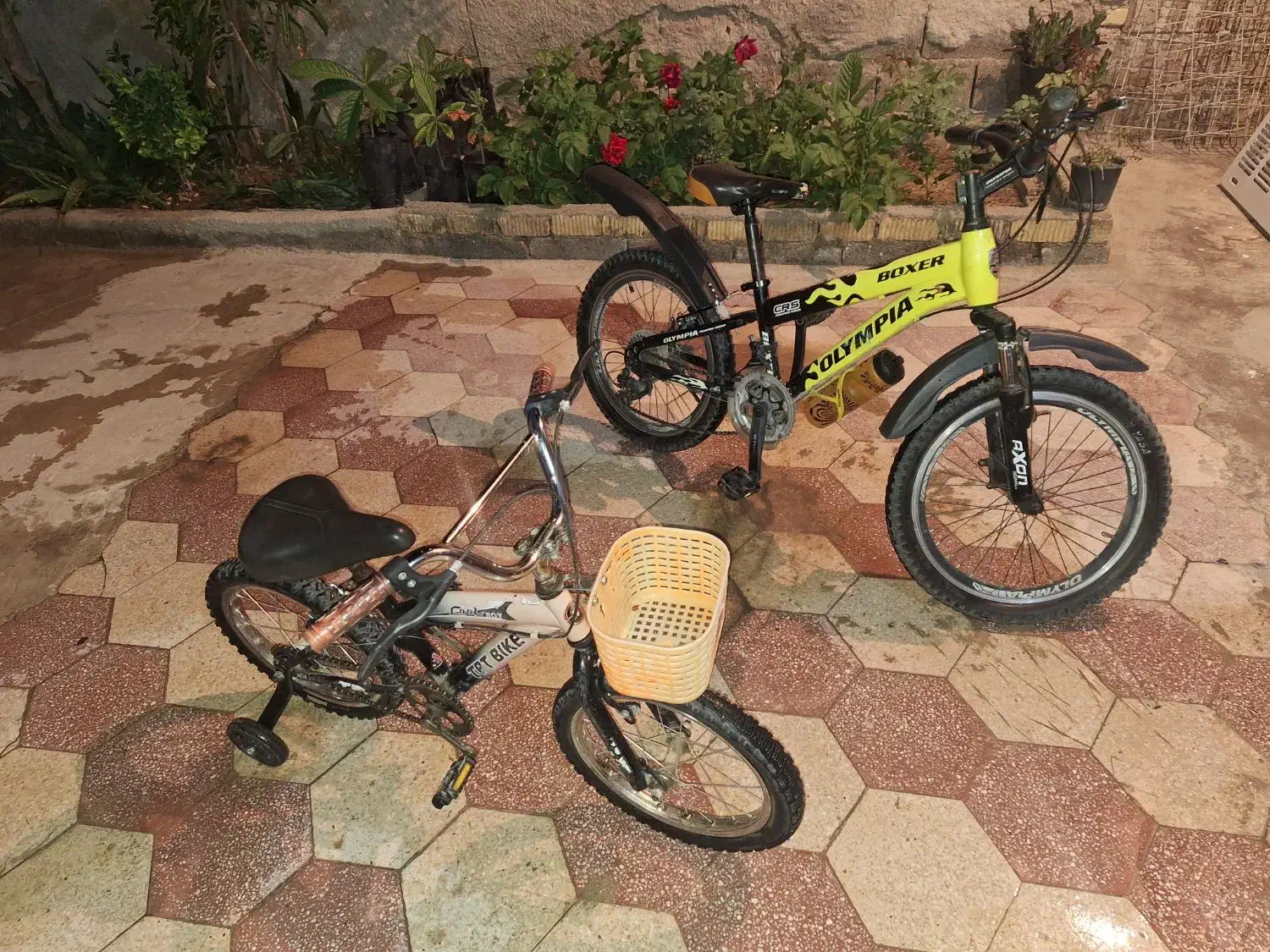 در حد نو|دوچرخه، اسکیت، اسکوتر|شیراز, کفترک|دیوار