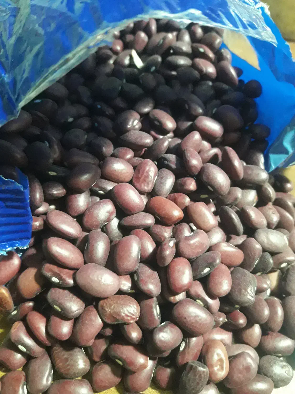 لوبیا قرمز بسته بندی900گرمی|خوردنی و آشامیدنی|کرج, شهر صنعتی|دیوار