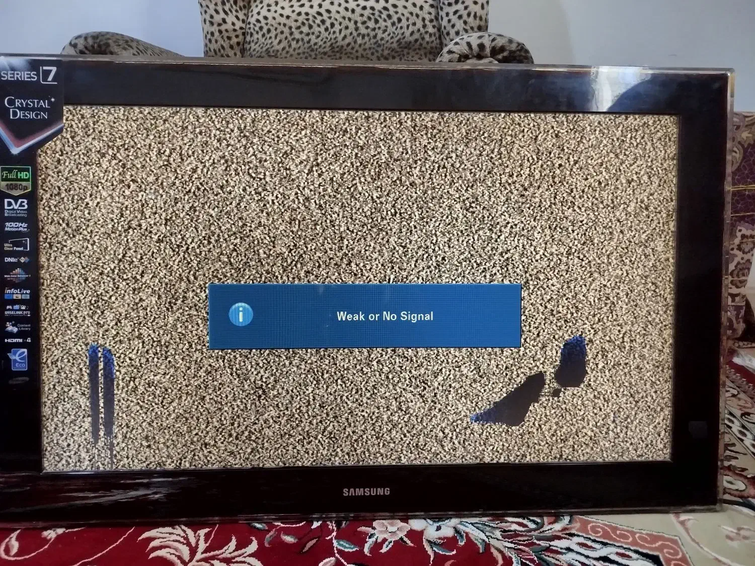 تلفزیون|تلویزیون و پروژکتور|قشم, |دیوار