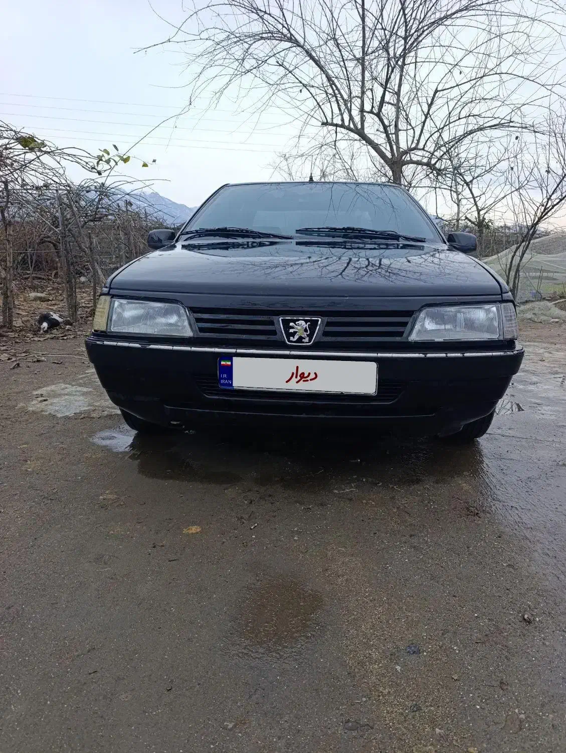 ماشین|خودرو سواری و وانت|چوبر, |دیوار